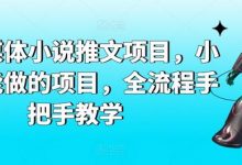 AI自媒体小说推文项目，小白也能做的项目，全流程手把手教学-蜗牛学社