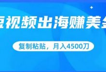 短视频出海赚美金，复制粘贴批量操作，小白轻松掌握，月入4500美刀-蜗牛学社