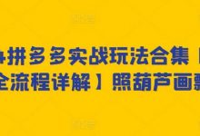 拼多多实战玩法合集【0-1全流程详解】照葫芦画瓢-蜗牛学社