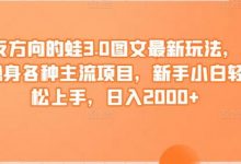 反方向的蛙3.0图文最新玩法,隐身各种主流项目,新手小白轻松上手,日入2000+-冒泡网