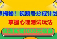 独家揭秘！视频号分成计划曝光，掌握心理测试玩法，快速实现1000元收益-蜗牛学社