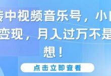 玩转中视频音乐号，小白副业变现，月入过万不是幻想-蜗牛学社