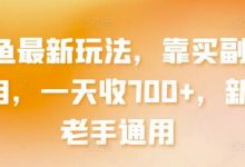 闲鱼最新玩法，靠买副业项目，一天收700+，新手老手通用-蜗牛学社