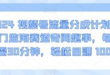视频号流量分成计划，冷门监海赛道奇闻趣事，每天只需30分钟，轻松目赚 1000+-蜗牛学社