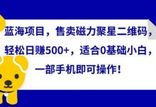 蓝海项目，售卖磁力聚星二维码，轻松日赚500+，适合0基础小白，一部手机即可操作-蜗牛学社