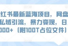 小红书最新蓝海项目，网盘扩容私域引流，暴力变现，日入1000+（附100T占位文件）-蜗牛学社
