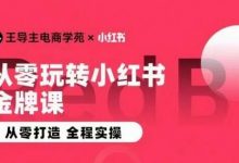 王导主·小红书电商运营实操课，​从零打造  全程实操-蜗牛学社