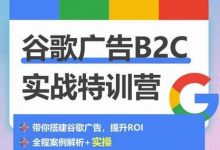 谷歌广告B2C实战特训营，500+谷歌账户总结经验，实战演示如何从0-1搭建广告账户-蜗牛学社