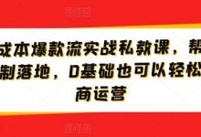 淘宝低成本爆款流实战私教课，帮助商家快速复制落地，0基础也可以轻松搞定电商运营-蜗牛学社