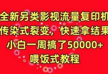 全新另类影视流量复印机,传染式裂变,快速拿结果,小白一周搞了50000+,喂饭式教程-蜗牛学社