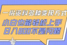 一份资料多种变现方式，小白也能轻松上手，日入800不是问题-蜗牛学社