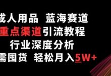 成人用品，蓝海赛道，重点渠道引流教程，行业深度分析，无需囤货，轻松月入5W+-蜗牛学社