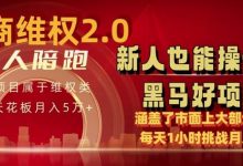 电商维Q4.0 如何做到月入 5 万+每天 1 小时新人也能快速上手-蜗牛学社