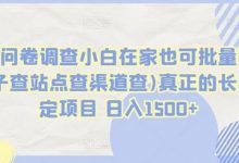 国外问卷调查小白在家也可批量操作(口子查站点查渠道查)真正的长久稳定项目 日入1500+-蜗牛学社