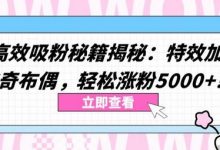 两个高效吸粉秘籍揭秘：特效加持与神奇布偶，轻松涨粉5000+-蜗牛学社