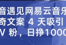 抖音遇见网易云音乐，新奇文案 4 天吸引 5W 粉，日挣1000+-蜗牛学社