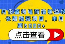 4月份蓝海电商撸收益技术，长期稳定项目，单月利润5000+-蜗牛学社
