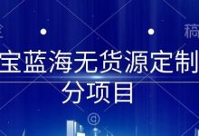 淘宝蓝海无货源定制细分项目，从0到起店实操全流程-蜗牛学社