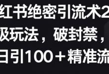 小红书绝密引流术2.0升级玩法，破封禁，轻松日引100+精准流量-蜗牛学社