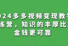多多视频变现教学训练营,知识的丰厚比起金钱更可靠-蜗牛学社
