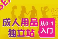 成人用品独立站从0-1入门，成品独立站运营全流程教学，七大好卖成品独立站推荐-蜗牛学社