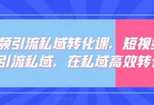 短视频引流私域转化课，短视频精准引流私域，在私域高效转化-蜗牛学社