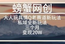 大人玩具情Q用品赛道私域全新玩法，三个月变现20W，老项目新思路-蜗牛学社