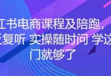 小红书电商课程及陪跑，课程反复听 实操随时问 学这一门就够了-蜗牛学社