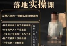 老肥电商·淘系运营从0-1落地实操课，无界万相台一整套实操运营课程-蜗牛学社