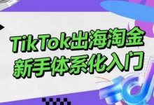 TikTok出海淘金，新手体系化入门，零基础快速入门，掌握短视频、直播带货等引流到变现的知识-蜗牛学社