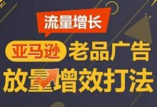 流量增长 亚马逊老品广告放量增效打法，短期内广告销量翻倍-蜗牛学社