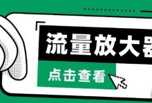 流量放大器，抖音公私域变现+soul私域轰炸器-蜗牛学社