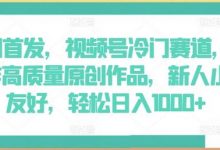 全网首发，视频号冷门赛道，AI制作高质量原创作品，新人小白友好，轻松日入1000+-蜗牛学社
