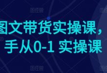 Ai图文带货实操课，新手从0-1 实操课-蜗牛学社