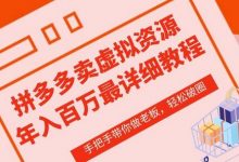 拼多多店铺—虚拟类目从0-1实操详细课程，价值1680-蜗牛学社
