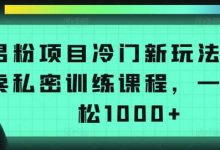 男粉项目冷门新玩法，售卖私密训练课程，一天轻松1000+-蜗牛学社