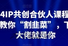 IP共创合伙人课程，手把手教你“割韭菜”，下一个大佬就是你-蜗牛学社