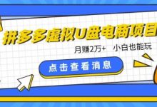 拼多多虚拟U盘电商红利项目：月赚2万+，新手小白也能玩-蜗牛学社