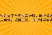通过几大平台图文卖衣服，副业首选，收入可观，项目正规，几分钟学会实操-蜗牛学社