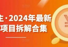 黄岛主·年最新副业项目拆解合集【无水印】-蜗牛学社