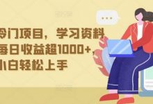 抖音贼冷门项目，学习资料拉新，每日收益超1000+，小白轻松上手-蜗牛学社