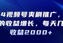 视频号爽剧推广，肉眼可见的收益增长，每天几分钟收益2000+【揭秘】-蜗牛学社
