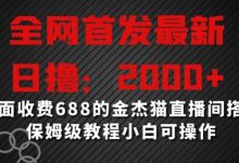 全网首发最新，日撸2000+，外面收费688的金杰猫直播间搭建，保姆级教程小白可操作【揭秘】-蜗牛学社