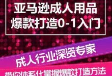 亚马逊成人用品爆款打造0-1入门，系统化讲解亚马逊成人用品爆款打造的流程-蜗牛学社