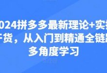 拼多多最新理论+实操干货，从入门到精通全链路多角度学习-蜗牛学社