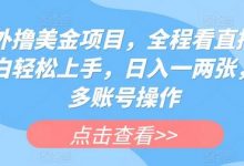 海外赚美金项目，全程看直播，小白轻松上手，日入一两张，可多账号操作-蜗牛学社
