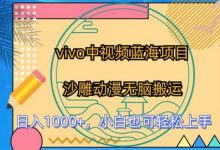 vivo中视频蓝海项目，沙雕动漫无脑搬运，小白也可轻松上手-蜗牛学社