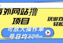 海外网站撸金项目，玩游戏赚美金，轻松简单可放大操作，单号每天均一两张-蜗牛学社