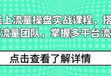 线上流量操盘实战课程，搭建高人效流量团队，掌握多平台流量-蜗牛学社