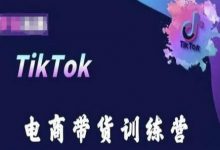 TikTok电商带货训练营，跟随时代潮流，跨境掘金-蜗牛学社